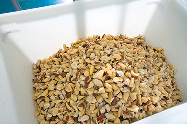 Schüttgut-Großprojekt zur Förderung der glutenfreien Lebensmittelproduktion der Bakery On Main